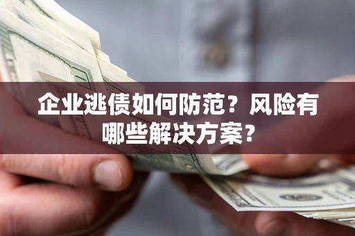 武汉企业逃债如何防范？风险有哪些解决方案？