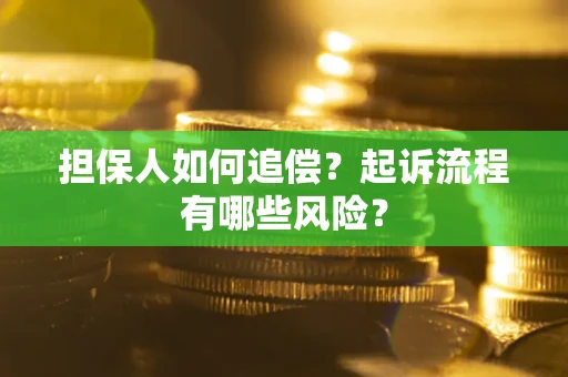 武汉担保人如何追偿？起诉流程有哪些风险？