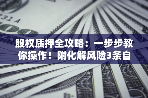 武汉股权质押全攻略：一步步教你操作！附化解风险3条自救法则