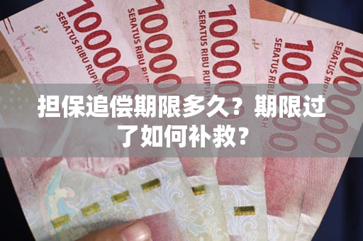武汉担保追偿期限多久？期限过了如何补救？