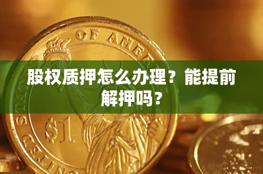 武汉股权质押怎么办理？能提前解押吗？